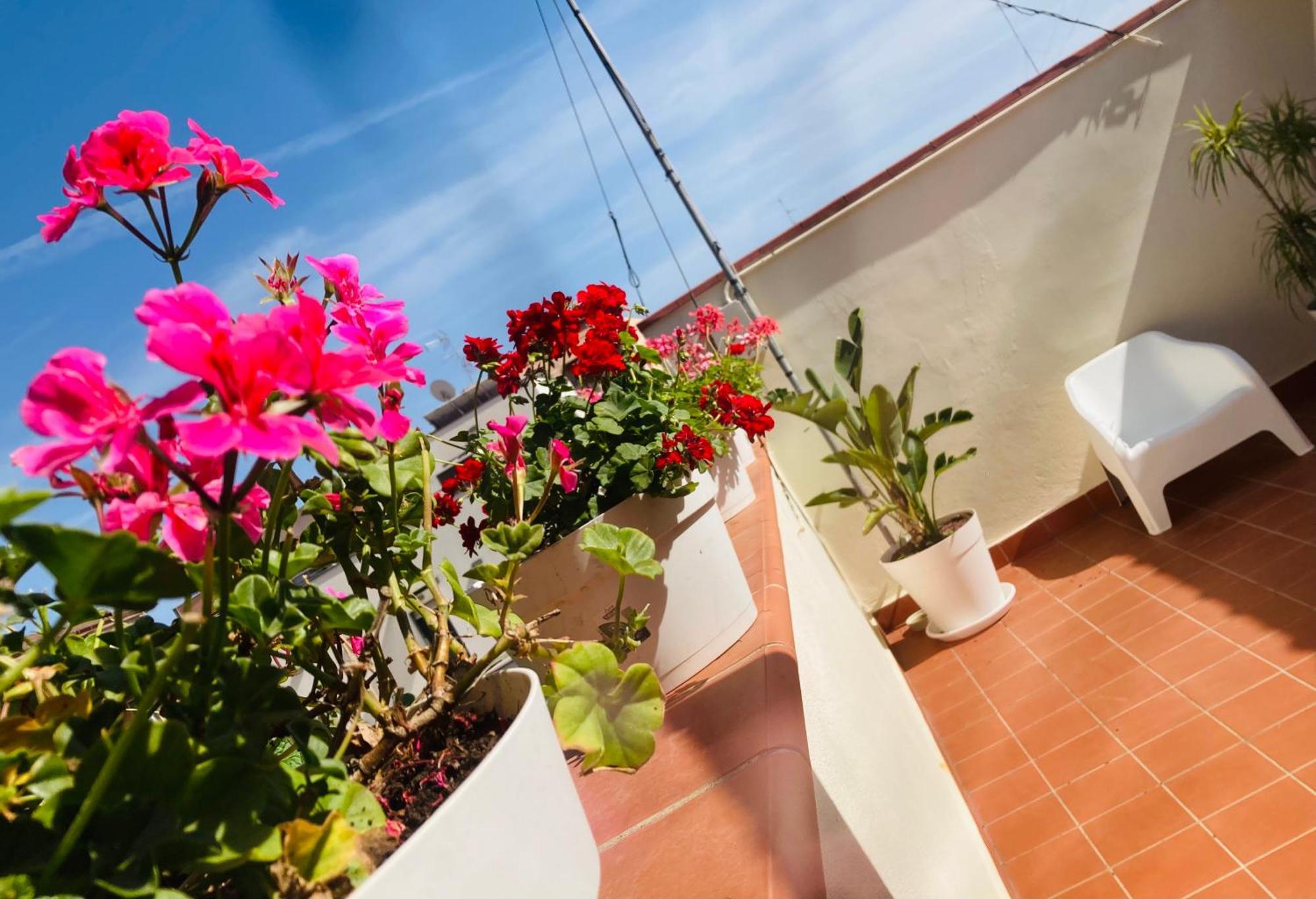 Lavica Di Mezzo Apartments Catania Exterior photo